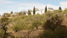 Cortijo from th land